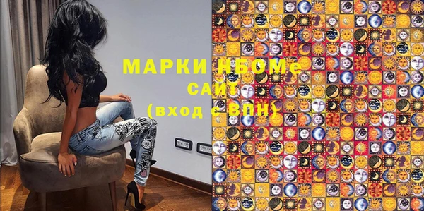 индика Надым