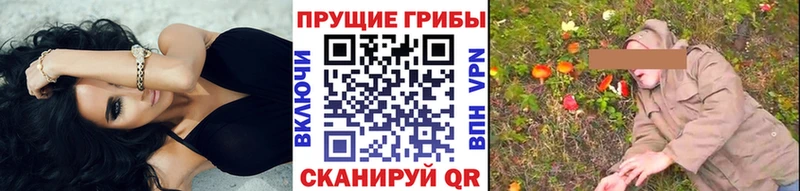 магазин продажи наркотиков  Щёкино  мега зеркало  Галлюциногенные грибы Psilocybe 